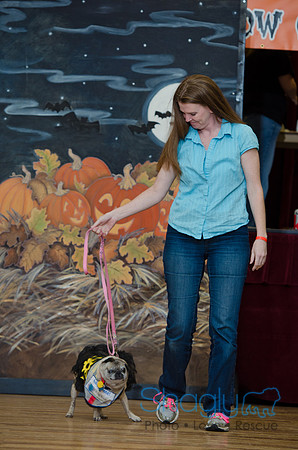 PugOween-166