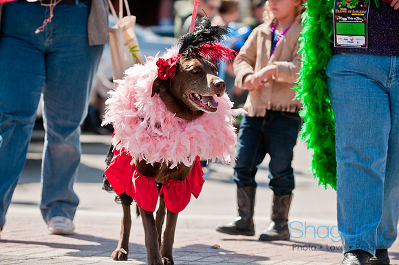 Krewe of Barkus 2011-124