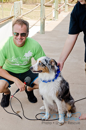 Wags and Waves 2011-428