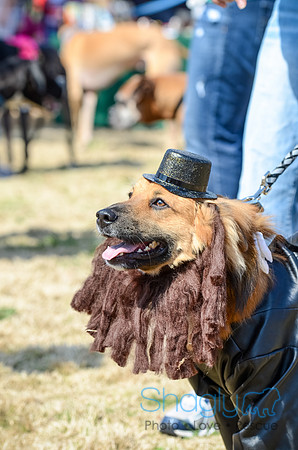 Krewe of Barkus 2012-59