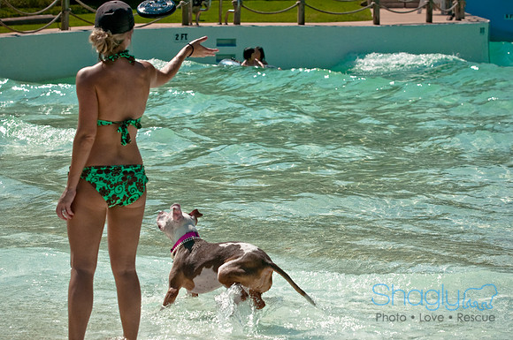 Wags and Waves-179