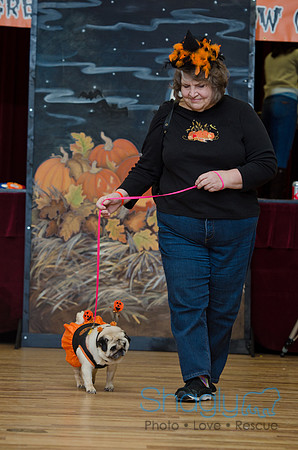 PugOween-86