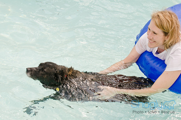Wags and Waves 2011-94