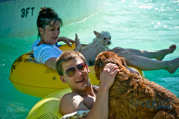 Wags and Waves-73