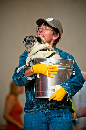 PugOWeen-102