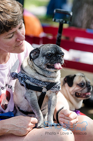 Pugapalooza 2012-108