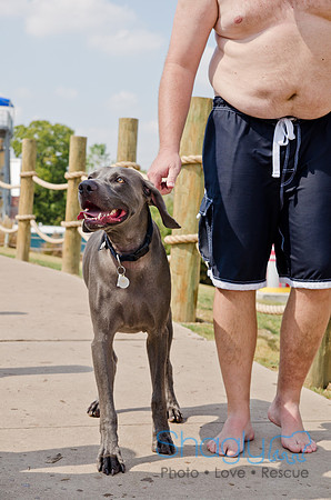 Wags and Waves 2011-443
