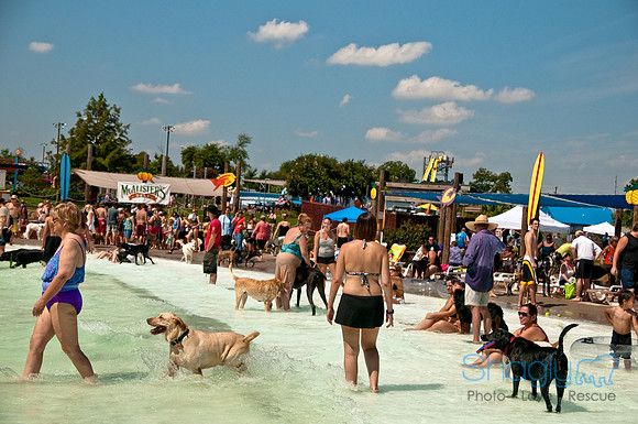 Wags and Waves-298